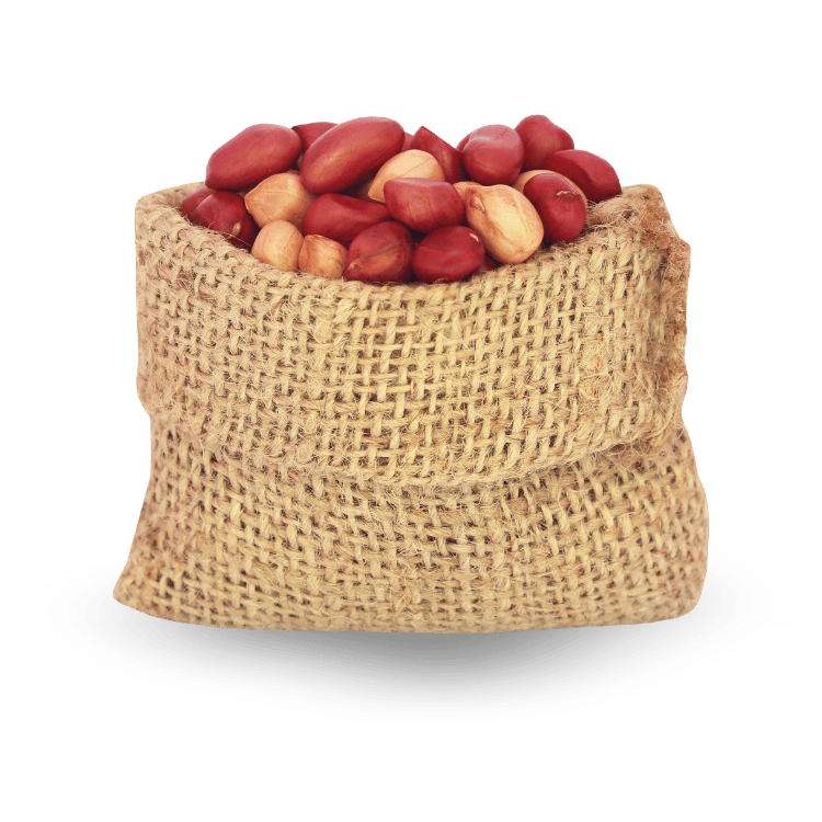 Peanut(Mūngphal)