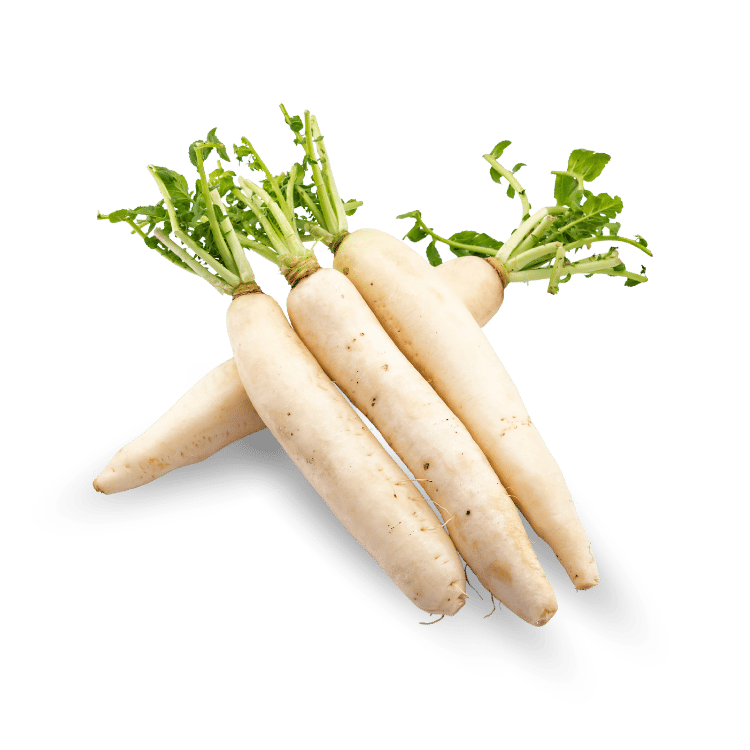 Radish(moolee)