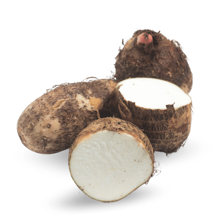 Colocasia (Arbi)