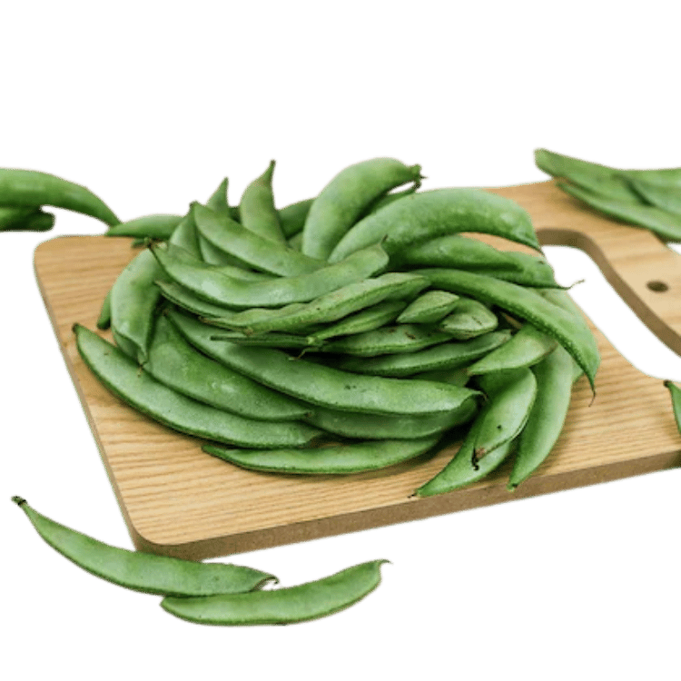 Broad Beans (Sem)