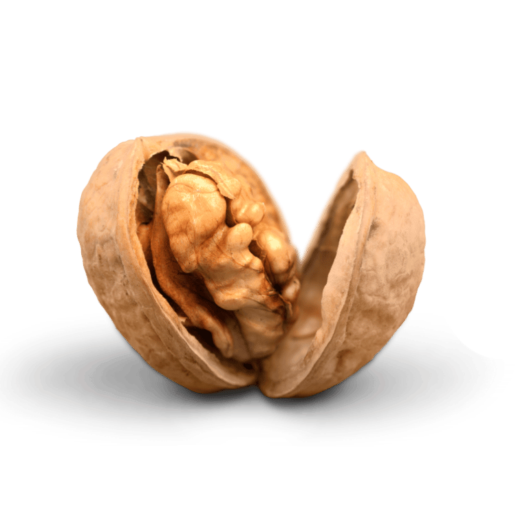 Walnut(Akhrot)